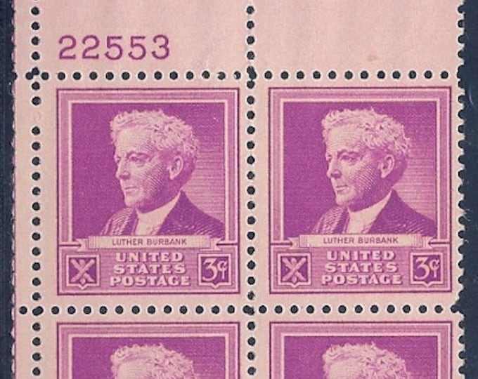 Luther Burbank Plate Block of Four 3-Cent United States Postage Stamps Issued 1940