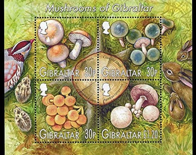 Mushrooms of Gibraltar Souvenir Sheet of Four Postage Stamps Issued 2003