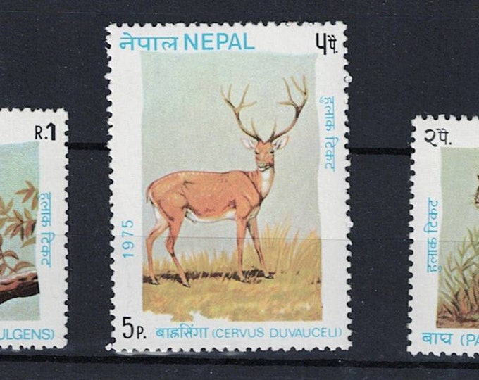 Wild Animals Set of Three Nepal Postage Stamps Issued 1975