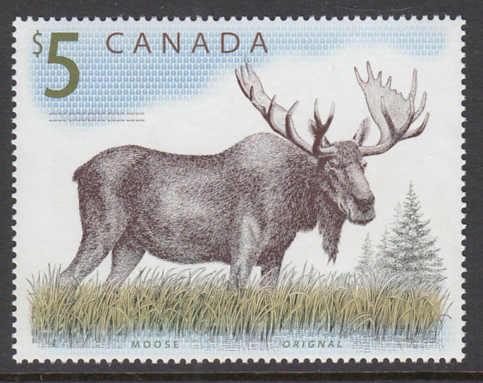 Moose Canada Five-Dollar Postage Stamp