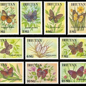 Bhutan Butterfly - Etsy