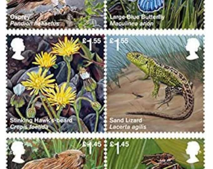 2018 Reintroduced Species Great Britain Presentation Pack By Royal Mail