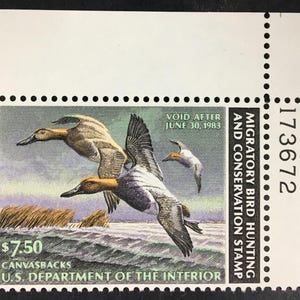 May include: A 1982-1983 U.S. Migratory Bird Hunting and Conservation Stamp featuring three canvasback ducks in flight over water. The stamp includes the text $7.50, CANVASBACKS, U.S. DEPARTMENT OF THE INTERIOR, and VOID AFTER JUNE 30, 1983, with serial number 173672.