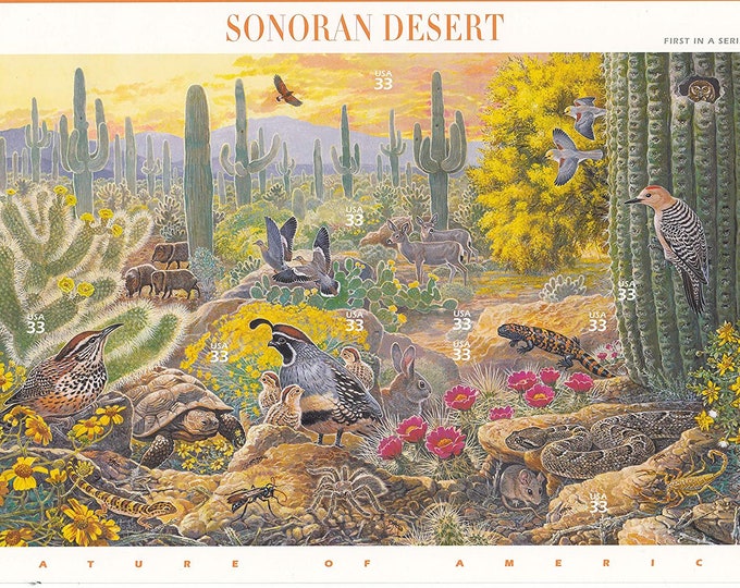 Sonoran Desert Sheet of Ten 33-Cent United States Postage Stamps Issued 1999