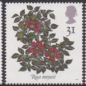 Great Britain 1991 Roses Set of Five Postage Stamps Mint Never Hinged