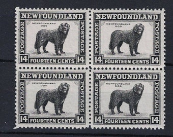 Newfoundland Dog Block of Four Postage Stamps Issued 1932