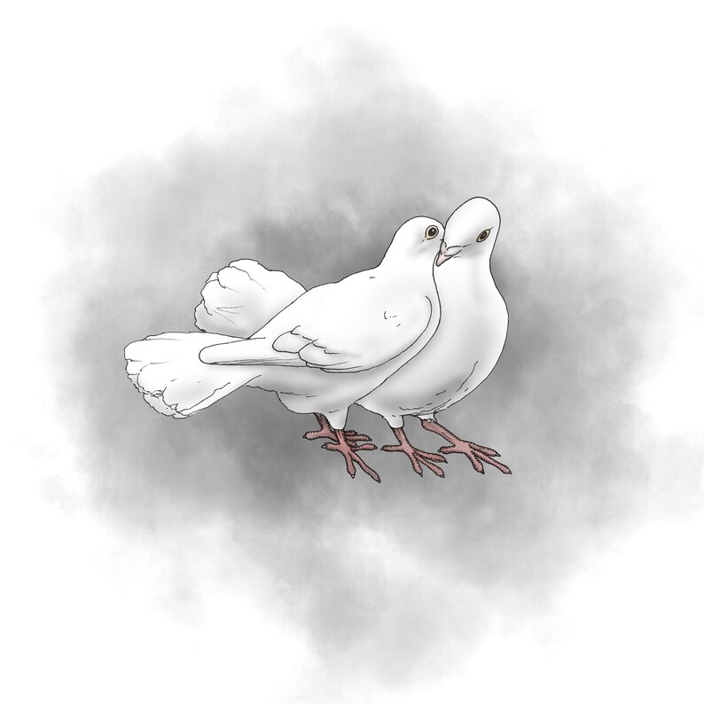 Dove Love Digital Print