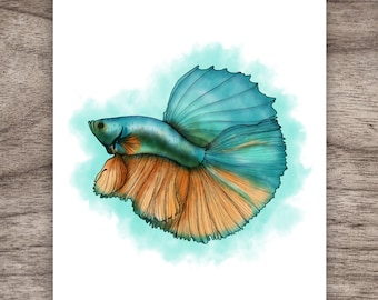 Betta Fish Digital Print