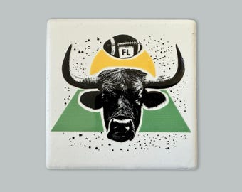 Florida Bull Football Ceramic Fridge Magnet
