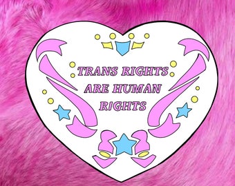 Trans Rights Are Human Rights Sticker, Sticker, Queer Sticker, Vinyl, Waterproof, Trans Sticker, LGBT, Pride, Trans Rights,