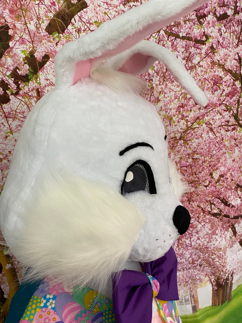 SALE Deluxe Professional Mall Quality Easter Bunny Mascot Costume Cosplay Custom Made Brand New USA Seller In Stock NOW Bild 8