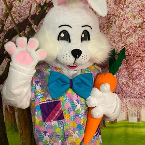 SALE Deluxe Professional Mall Quality Easter Bunny Mascot Costume Cosplay Custom Made Brand New USA Seller In Stock NOW image 2