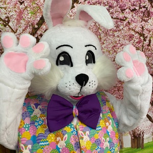 SALE Deluxe Professional Mall Quality Easter Bunny Mascot Costume Cosplay Custom Made Brand New USA Seller In Stock NOW Bild 3