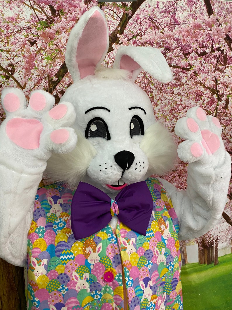 SALE Deluxe Professional Mall Quality Easter Bunny Mascot Costume Cosplay Custom Made Brand New USA Seller In Stock NOW image 3