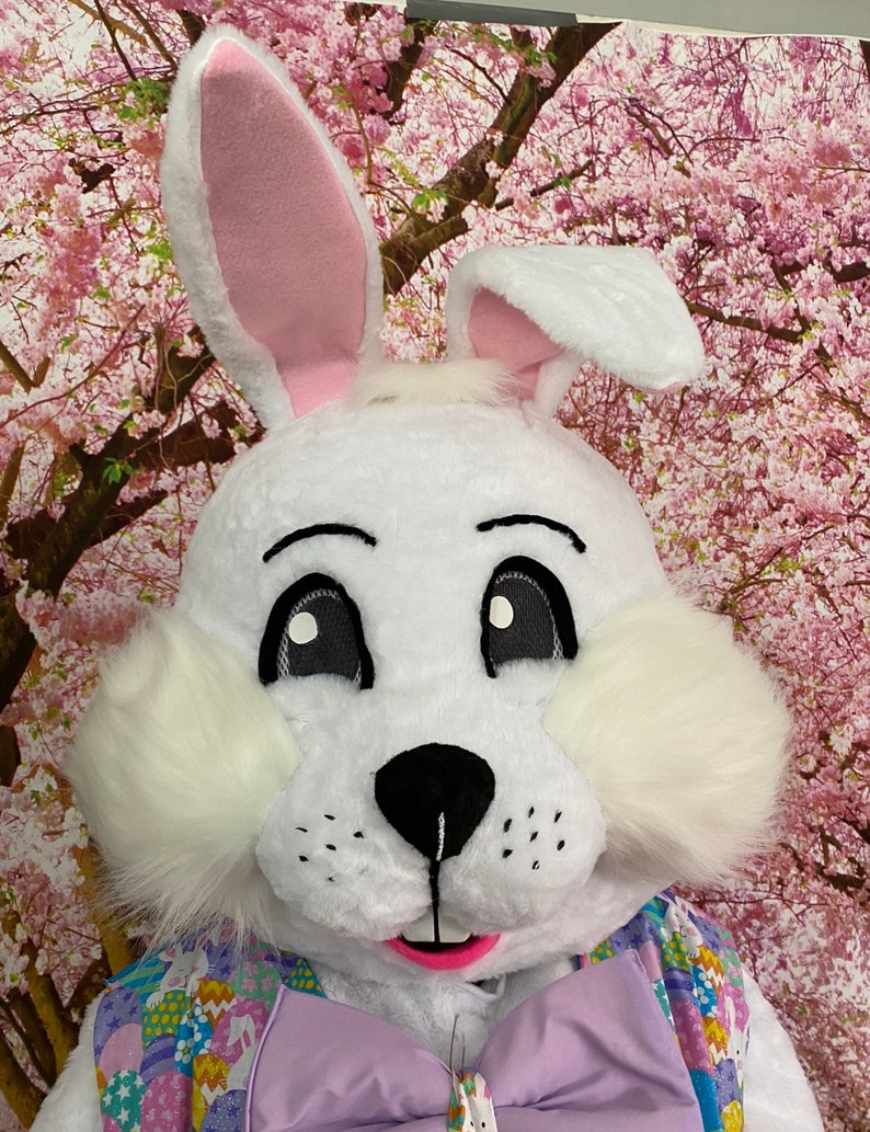 SALE Deluxe Professional Mall Quality Easter Bunny Mascot Costume Cosplay Custom Made Brand New USA Seller In Stock NOW image 4
