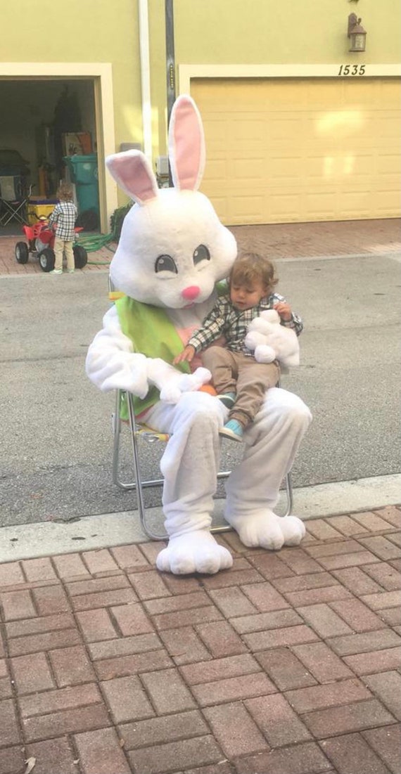 Deluxe Easter Bunny Rabbit Mascot Costume Ships From USA Photos