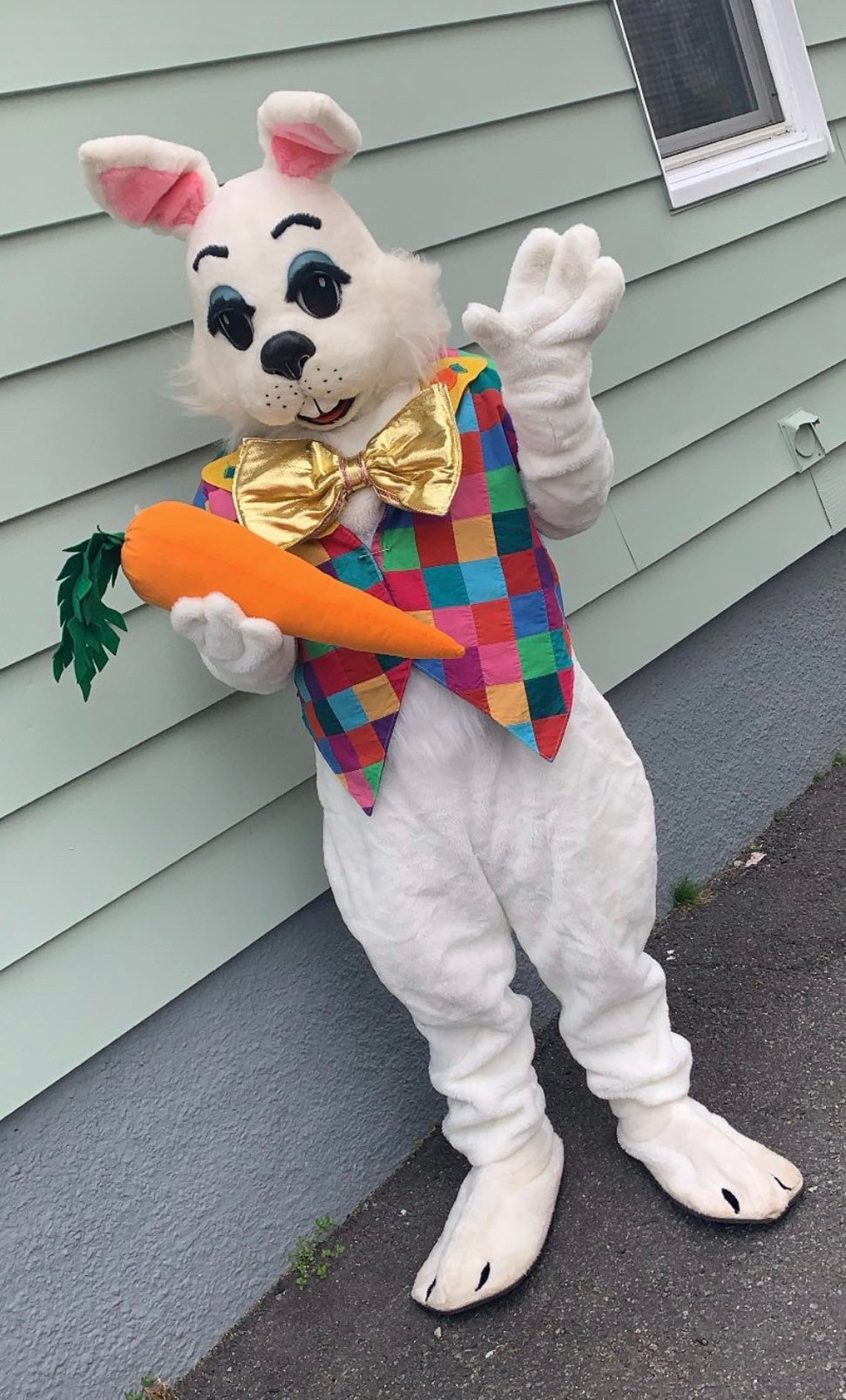Giant 31 Easter Carrot Bunny Costume Prop Photo Shoot Window Etsy