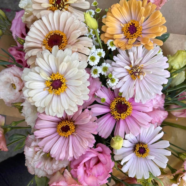 Pastel Mix Zinnia Seeds