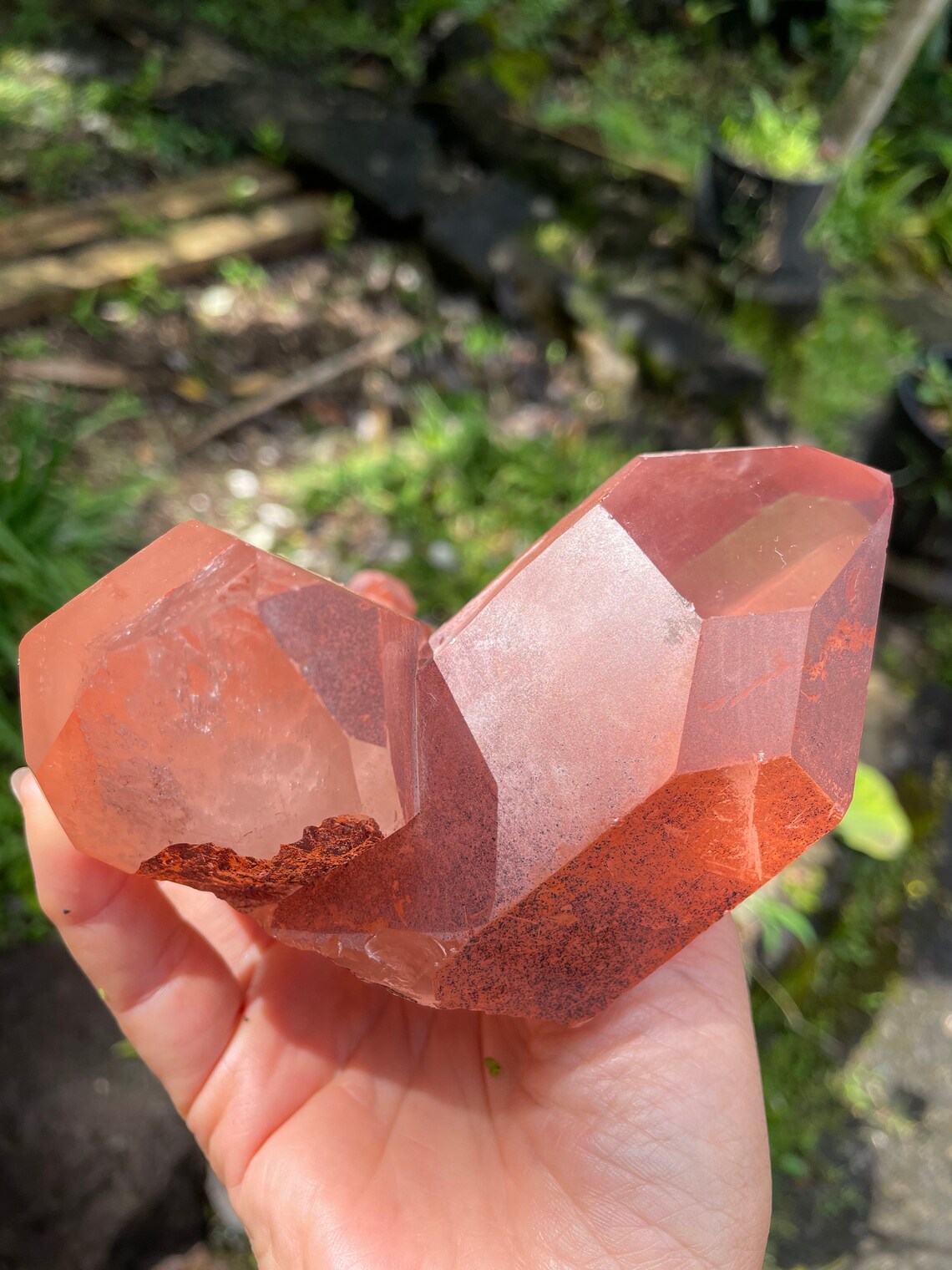 Large & Scarlet Temple Quartz Points Etsy