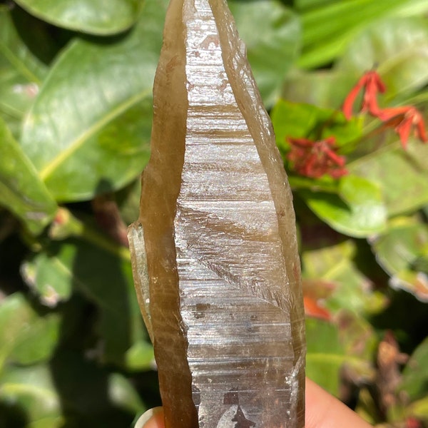 Raw Smoky Citrine Tessin Wand