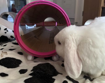 Rabbit Tunnel - 2 hoops