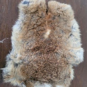 May include: A piece of tanned rabbit fur, showcasing a mix of brown, tan, and white colors. The fur has a soft, fluffy texture, with variations in color and density. The piece is irregularly shaped, with a natural, organic appearance.