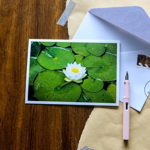 Seerose 5x7" Grußkarte