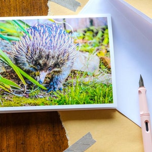 Spiky Friend 5x7 Greeting Card