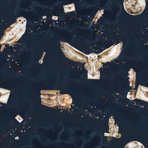 May include: Watercolor illustration on a dark blue background featuring owls, envelopes, feathers, books, and a moon. The owls are white and brown, with wings spread. The envelopes are sealed with wax. The overall theme is magical and whimsical.