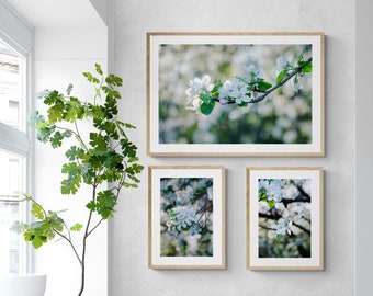 Set of 3 Apple Blossoms Photography Prints, Spring Decor Wall Art, Minimalist Wall Art, Christmas Gift, Gift Idea for Mom, Holiday Gift