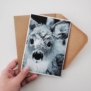Jolies cartes d'anniversaire de bébé cerf pour petit ami, cartes de Saint-Valentin, cartes de photographie d'animaux, idée cadeau Noël pour maman, cadeau de vacances