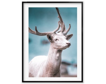 White Deer Print, Wildlife Photography Print, Deer Wall Art Photography, Animal Fine Art Christmas Gift, Gift Idea for Mom, Holiday Gift