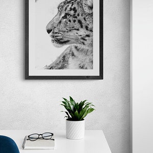 Snow Leopard Wall Art photography, Black and White Nature Wildlife Photography Prints, Christmas Gift, Gift Idea for Mom, Holiday Gift image 6