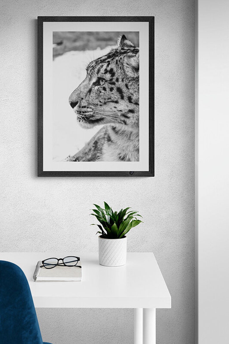 Snow Leopard Wall Art photography, Black and White Nature Wildlife Photography Prints, Christmas Gift, Gift Idea for Mom, Holiday Gift image 6