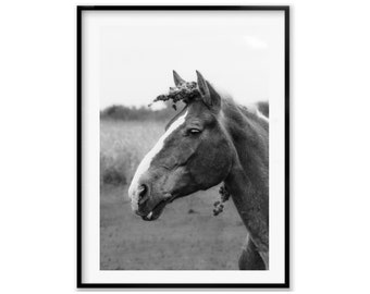 Black and White Horse Photography Print, Animal Wall Art Photography, Horse Fine Art Landscape, Holiday Gift Idea, Christmas Gift For Farmer