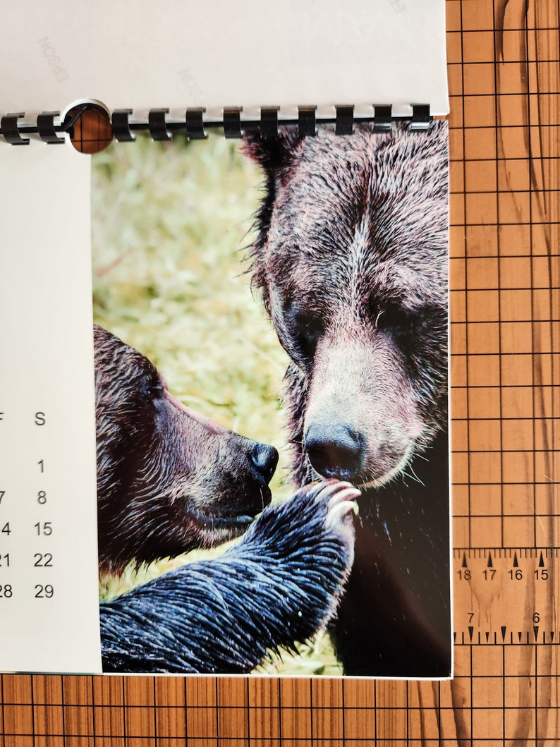 Bears 2024 Wall Calendar Animal Lover Gift Calendar 2024 New Etsy UK