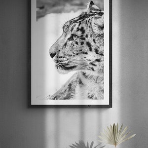 Snow Leopard Wall Art photography, Black and White Nature Wildlife Photography Prints, Christmas Gift, Gift Idea for Mom, Holiday Gift image 2