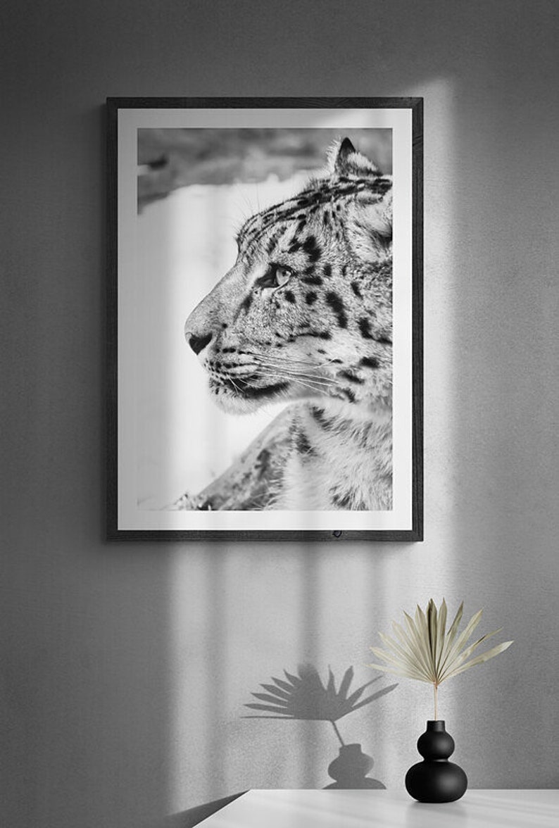 Snow Leopard Wall Art photography, Black and White Nature Wildlife Photography Prints, Christmas Gift, Gift Idea for Mom, Holiday Gift image 2