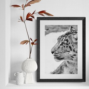 Snow Leopard Wall Art photography, Black and White Nature Wildlife Photography Prints, Christmas Gift, Gift Idea for Mom, Holiday Gift image 10