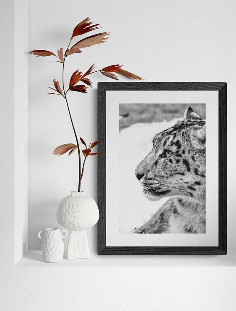 Snow Leopard Wall Art photography, Black and White Nature Wildlife Photography Prints, Christmas Gift, Gift Idea for Mom, Holiday Gift image 10