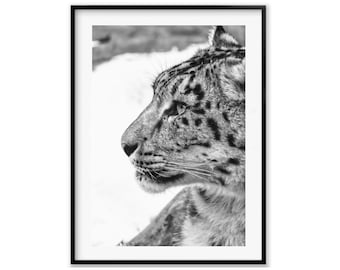 Snow Leopard Wall Art photography, Black and White Nature Wildlife Photography Prints, Christmas Gift, Gift Idea for Mom, Holiday Gift