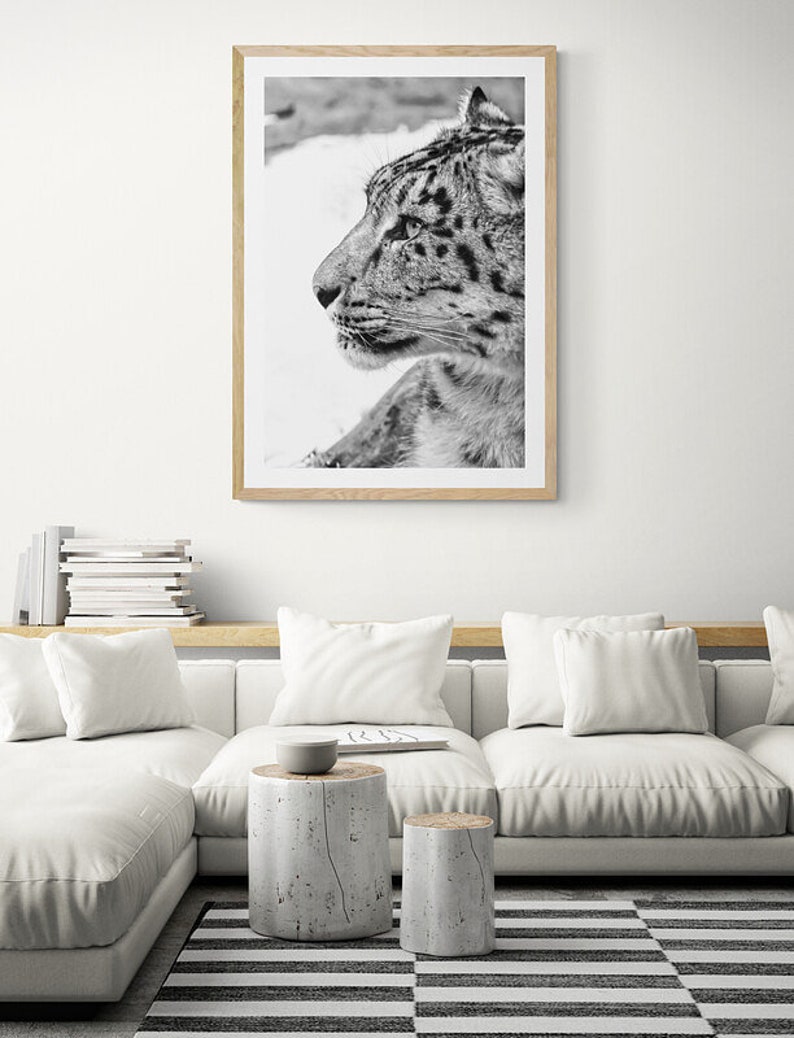 Snow Leopard Wall Art photography, Black and White Nature Wildlife Photography Prints, Christmas Gift, Gift Idea for Mom, Holiday Gift image 9