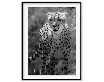 Black and White Cheetah Print, Wildlife Photography, Cheetah Animal Wall Art, Animal Poster, Christmas Gift, Gift Idea for Mom, Holiday Gift