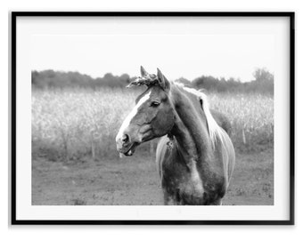 Impresión de fotografía de caballos en blanco y negro, fotografía de arte de pared de animales, paisaje de bellas artes de caballos, regalo de Navidad para ella, idea de regalo navideño