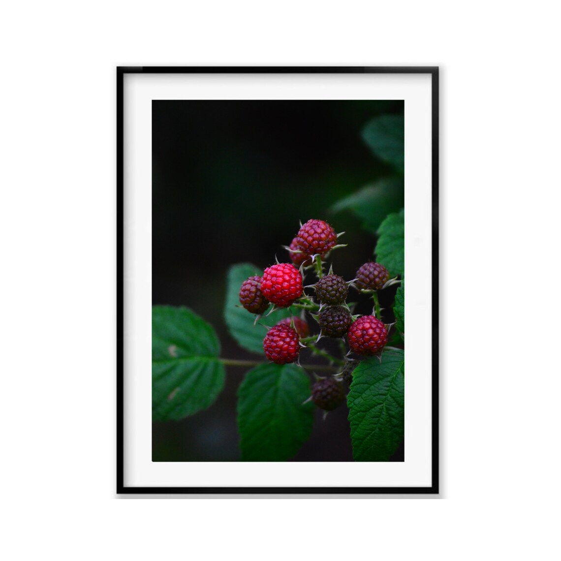 Raspberry Wall Art Food Prints For Kitchen Dining Room Etsy