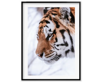 Tiger Wall Art Photography,Wildlife Photography Print, Tiger Poster, Wildlife Nursery Decor, Christmas Gift, Gift Idea for Mom, Holiday Gift