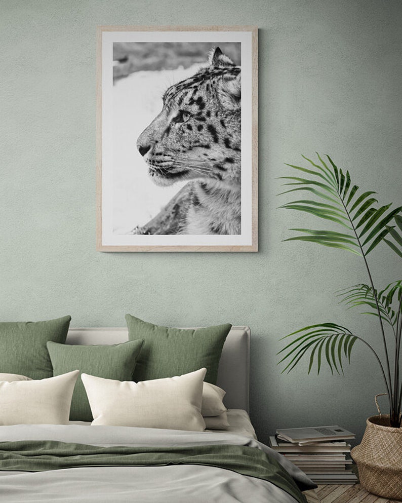 Snow Leopard Wall Art photography, Black and White Nature Wildlife Photography Prints, Christmas Gift, Gift Idea for Mom, Holiday Gift image 5