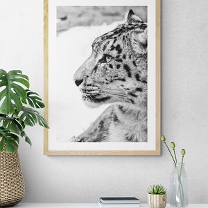 Snow Leopard Wall Art photography, Black and White Nature Wildlife Photography Prints, Christmas Gift, Gift Idea for Mom, Holiday Gift image 8