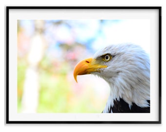 American Eagle Landscape Photography Print, Bald Eagle 4th of July Patriotic Gift, Wildlife Wall Art, Minimalist Wall Art, Home Decor