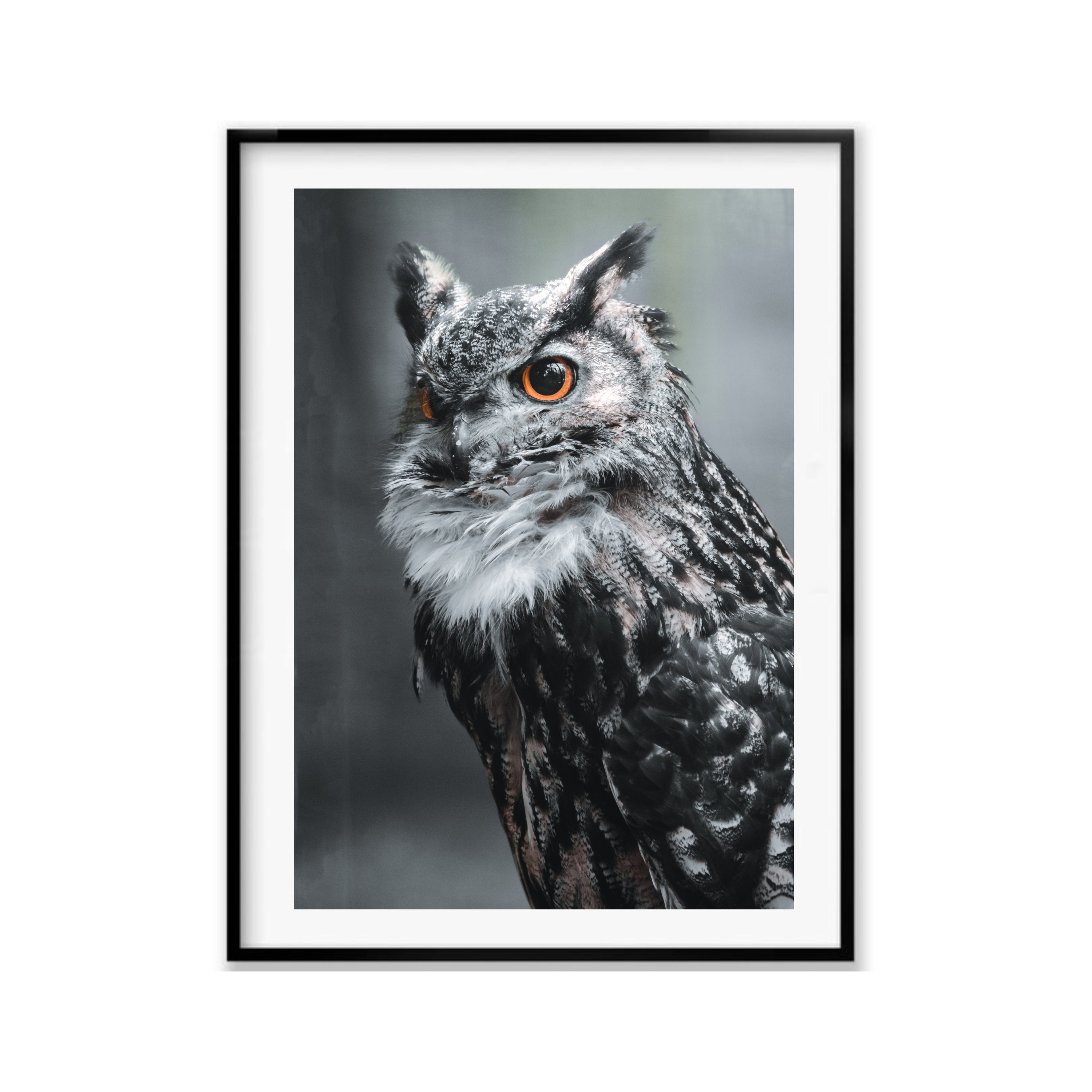 Black and White Owl Birder Gift, Owl Wall Art Photography Print, Nursery Wildlife, Owl Christmas Gif